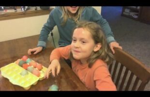 Gender Reveal: The Egg Method