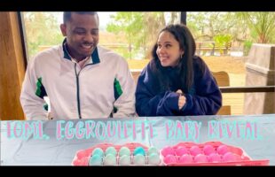 Is it a BOY or a GIRL? EGGROULETTE Gender Reveal