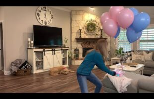 Quarantine Baby Gender Reveal – Egg Roulette