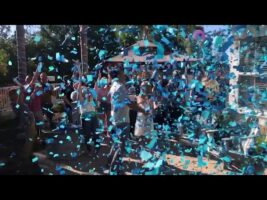 Confetti Cannon Gender Reveal!!