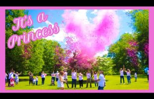 OUR GENDER REVEAL WITH CONFETTI & SMOKE CANNONS !! OUR PRINCESS IS ON THE WAY !!