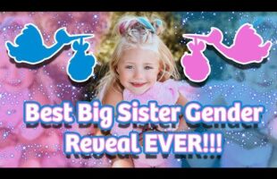 BEST BIG SISTER GENDER REVEAL EVER!!! (BOY OR GIRL?)