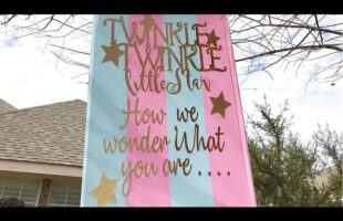 Our Surprise Gender Reveal in a Hanging Box – Baby G #1