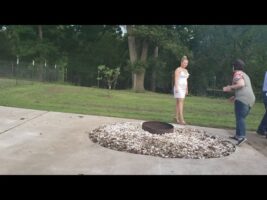 Gender reveal fail 😂