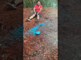 Gender reveal fail