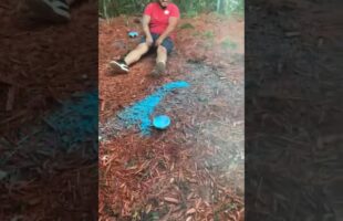 Gender reveal fail