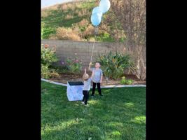 Gender reveal fail!