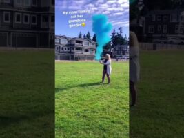 Gender reveal fail