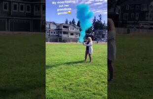 Gender reveal fail