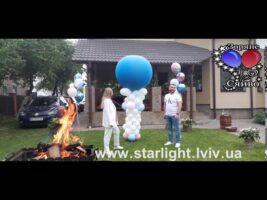 Gender Reveal Party  Baby Shower Хлопчик  або Дівчинка