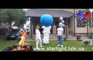 Gender Reveal Party  Baby Shower Хлопчик  або Дівчинка