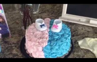 IVF GENDER REVEAL PARTY!!!