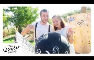 SHOCKING BABY GENDER REVEAL! | The Wander Family