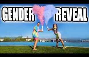 🦄 OFFICIAL 💖 GENDER REVEAL 💙 THE UNICORN FAMILY