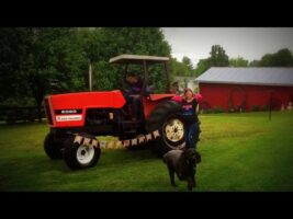 Tractor gender reveal (blue smoke means boy and pink means girl)