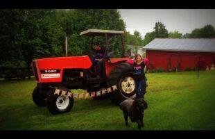 Tractor gender reveal (blue smoke means boy and pink means girl)