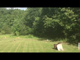 Tannerite gender reveal 1lb tannerite 12lb powder