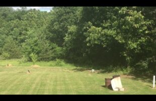 Tannerite gender reveal 1lb tannerite 12lb powder