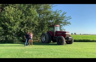 Tractor Gender Reveal