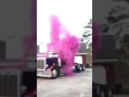 Gender Reveal