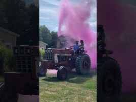 Gender Reveal