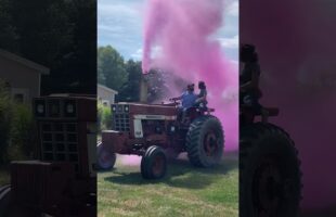 Gender Reveal