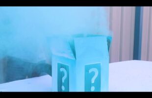 GENDER REVEAL SMOKE BOMB BOX! Chameleon Colors COLOR POWDER