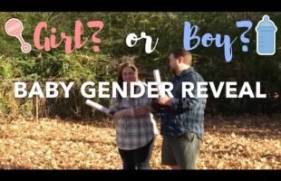 Baby Gender Reveal Party | Baby Gender Reveal Canon Sticks