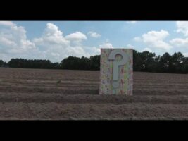 James and Kristin gender reveal using tannerite and filmed with drone