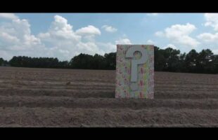 James and Kristin gender reveal using tannerite and filmed with drone