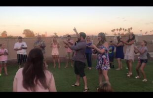 SURPRISE TWIN GENDER REVEAL – After Years Of Infertility Through IVF!