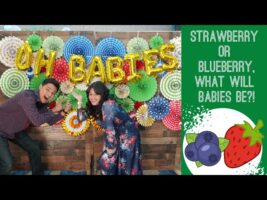 Twin Gender Reveal- Strawberry or Blueberry, what  will babies be?!