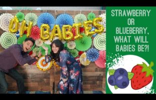 Twin Gender Reveal- Strawberry or Blueberry, what  will babies be?!