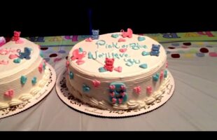 Twin baby gender cake reveal