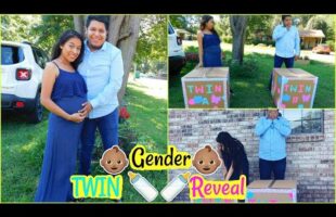 Twin Gender Reveal | Maria and Jess