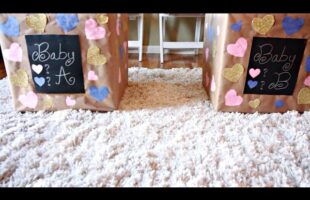 We are having… | Twins Gender Reveal