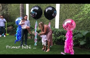 Triplets Gender Reveal – Surprise for Everyone! (Select CC for English subtitles)