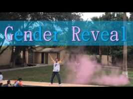 Triplet Gender Reveal Luis & Kary