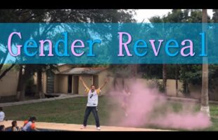 Triplet Gender Reveal Luis & Kary