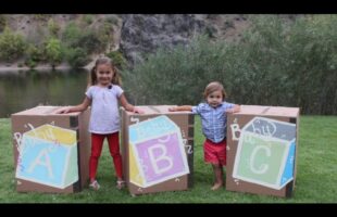 TRIPLET GENDER REVEAL GONE WRONG!