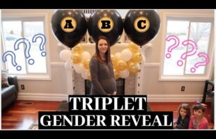 *EPIC* TRIPLET Gender Reveal! | 1 IN 30,000 CHANCE