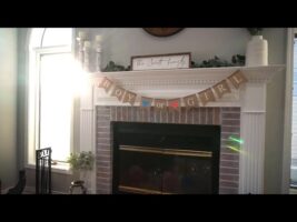 Quadruplet Gender Reveal!