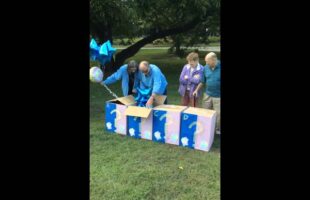 Quad gender reveal!