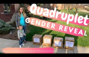 Quadruplet gender reveal