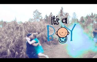 Baseball Gender Reveal