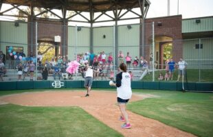 BASEBALLS or BOWS Gender Reveal Party