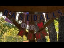 SURPRISE GENDER REVEAL! BASEBALLS OR BOWS?