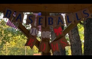 SURPRISE GENDER REVEAL! BASEBALLS OR BOWS?