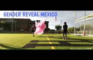 Pelota para Gender Reveal (Soccer)